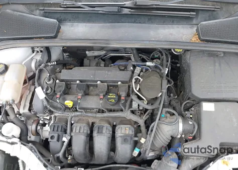 2013 Ford Focus Se z USA, uszkodzony, nr VIN 1FADP3F24DL166619